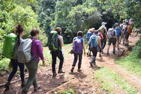 Hiking Safaris Tour