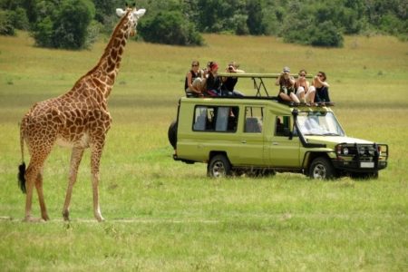 10 Days Luxury Safari Tour