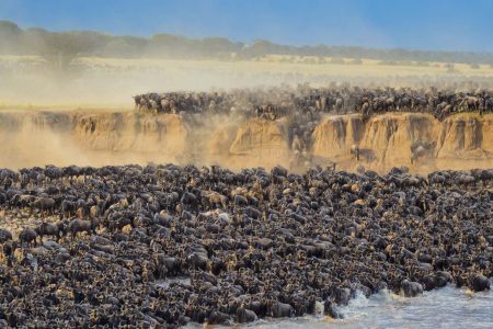 Great Migration Tour In The Serengeti