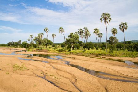 Southern Tanzania Adventure Safari Tour