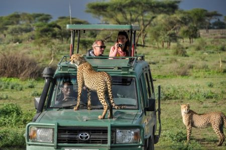 6 Days Signature Camping Safari Tour